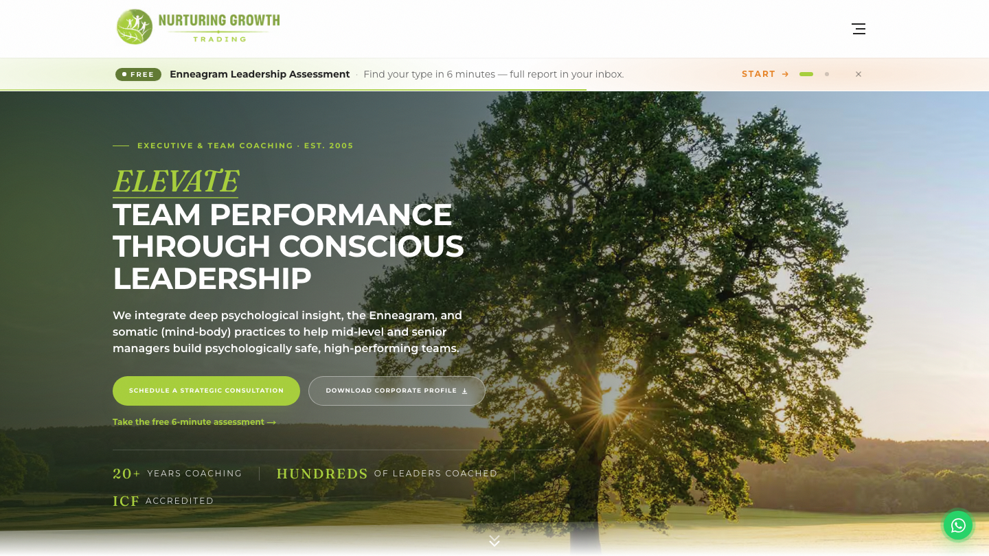 Nurturing Growth web design services Cape Town background